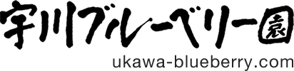 宇川ブルーベリー園